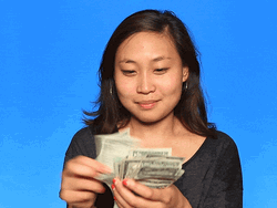 Accountant Girl Counting Money GIF