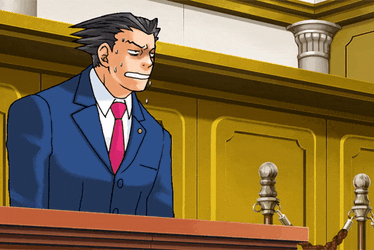 Ace Attorney Phoenix Wright GIF