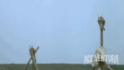 Ace Ventura Funny Hair Style GIF