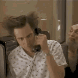 Ace Ventura Pet Detective GIF