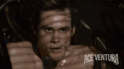 Ace Ventura Rhino Sweaty Face GIF