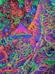 Acid Trip Mushroom GIF