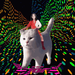 Acid Trip Riding A Cat GIF
