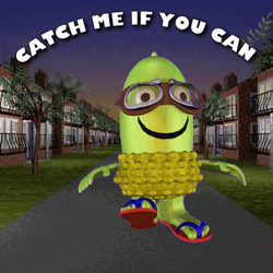 Acorn Catch Me If You Can GIF