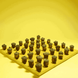 Acorn On Chess Board GIF