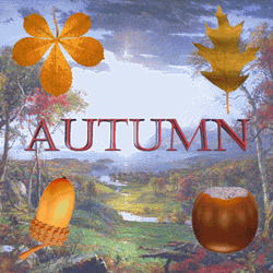 Acorn Season Autumn Came GIF