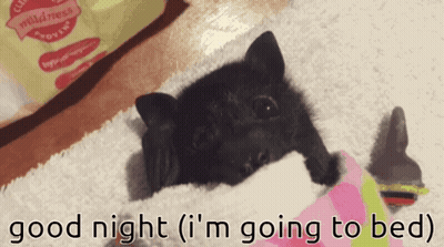 Acoustic Welcome Woman GIF
