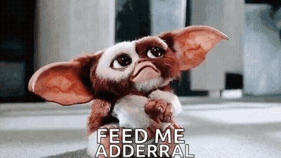 Action Cat Gizmo GIF