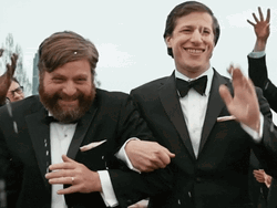 Actors Zach Galifianakis And Andy Samberg Marriage GIF
