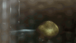 Actual Baking A Hot Potato GIF