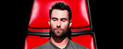 Adam Levine Interested  GIF