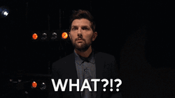 Adam Scott What GIF