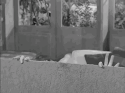 Addams Family Uncle Fester Howdy Funny Smile GIF