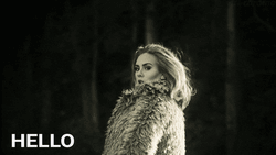 Adele Hello From The Other Side Sea Lion GIF