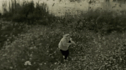 Adele Hello Walking To Windy Field GIF