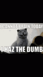 Adhd Can't Brain Today GIF