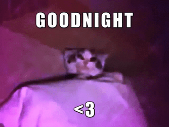 Adhd Goodnight Cat GIF