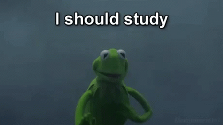 Adhd Make Memes Study Later GIF