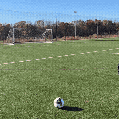 Adidas Soccer Ball On Field GIF