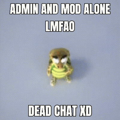 Admin And Mod Alone Lmfao Dead Chat Xd Turtle Blue Background GIF