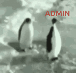 Administrative Professionals Day Penguin Slapping Another Penguin GIF