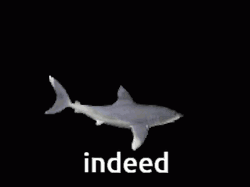 Adorable 3D Shark Indeed GIF