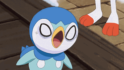 Adorable Angry Piplup