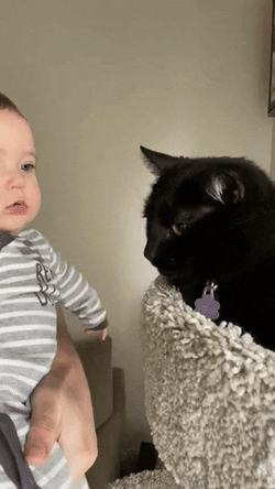Adorable Baby Playing With Black Cat GIF