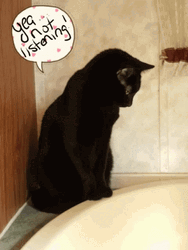 Adorable Black Cat Not Listening GIF
