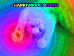 Adorable Cat Cheering Happy Pride Month GIF