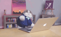 Adorable Cat Dancing Typing Fast GIF
