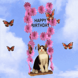 Adorable Cat Happy Birthday Swing GIF