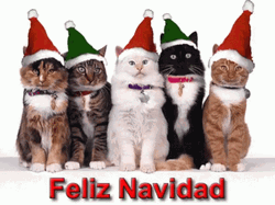 Adorable Cats Merry Christmas Meme GIF