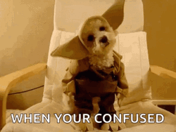 Adorable Confused Dog In Costume GIF