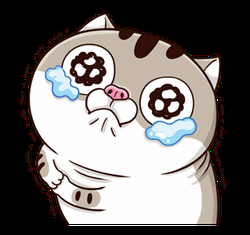 Adorable Crying Fat Cat GIF