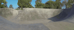Adorable Dog Riding Skateboard On Skating Rink GIF
