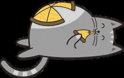 Adorable Fat Cat Eating Pizza GIF