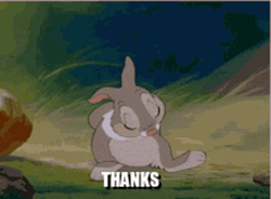 Adorable Gracias Rabbit Animation GIF