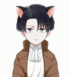 Adorable Levi Ackerman Cat Ears GIF