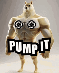 Adorable Masculine Doge  GIF