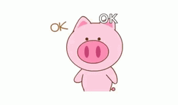 Adorable Pig Okay Gesture GIF