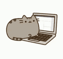 Adorable Pusheen Typing Cat