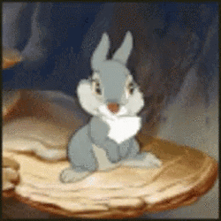 Adorable Thumper Shaking Head No GIF