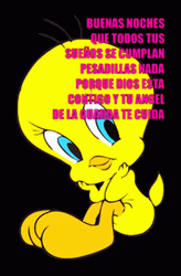 Adorable Tweety Bird Linda Noche Buenas Noches GIF