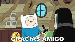 Adventure Time Finn The Human Muchas Gracias GIF