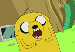 Adventure Time Jake Lol