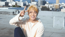 Aegyo Mochi BTS Jimin GIF
