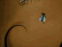 Aeon Flux Fly In Eye GIF