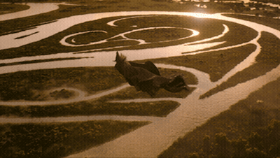 Aerial View Bird Flying Over River With Letter C GIF