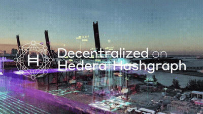 Aerial View Harbor Decentralized On Hedera Hashgraph GIF